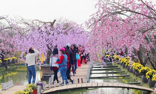 Những điểm đến tuyệt vời cho ngày lễ tình nhân năm nay 
