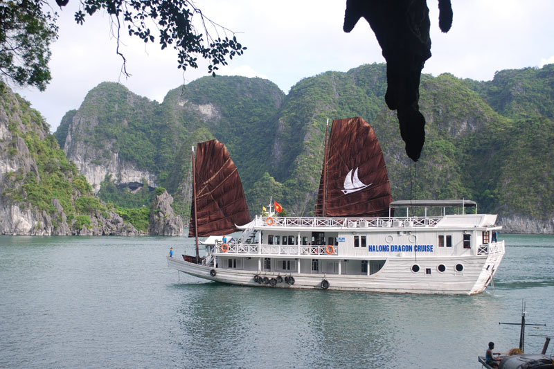 Dragon Cruise