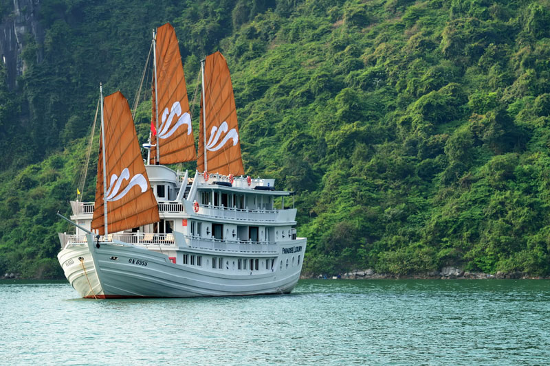 Paradise Cruises