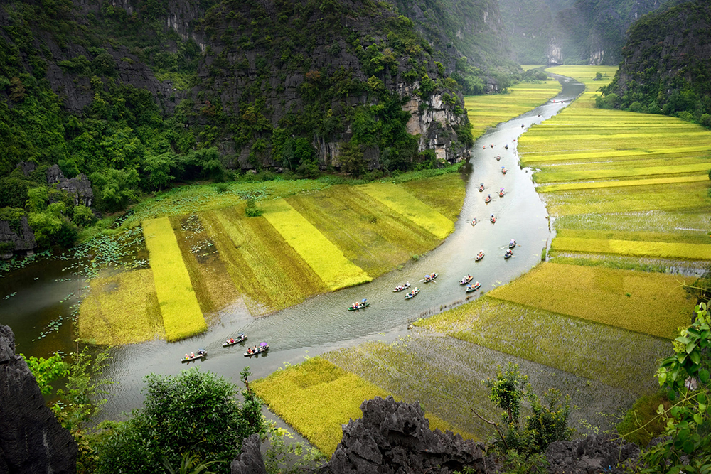 Hoa Lu – Tam Coc Tour Full Day